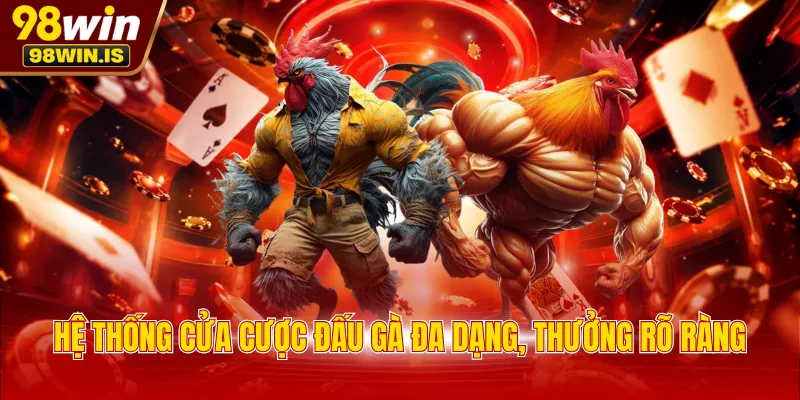 he thong cua cuoc dau ga da dang thuong ro rang Hệ thống cửa cược đấu gà đa dạng, thưởng rõ ràng